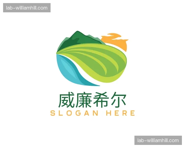 关于威廉希尔官网